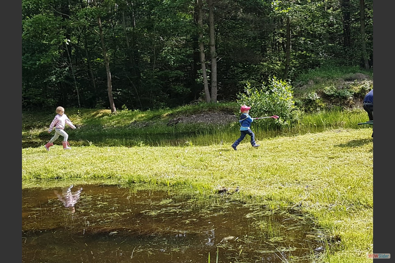 2018-05-19 Biotop (01)