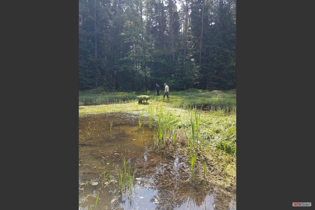 2018-05-19 Biotop (03)