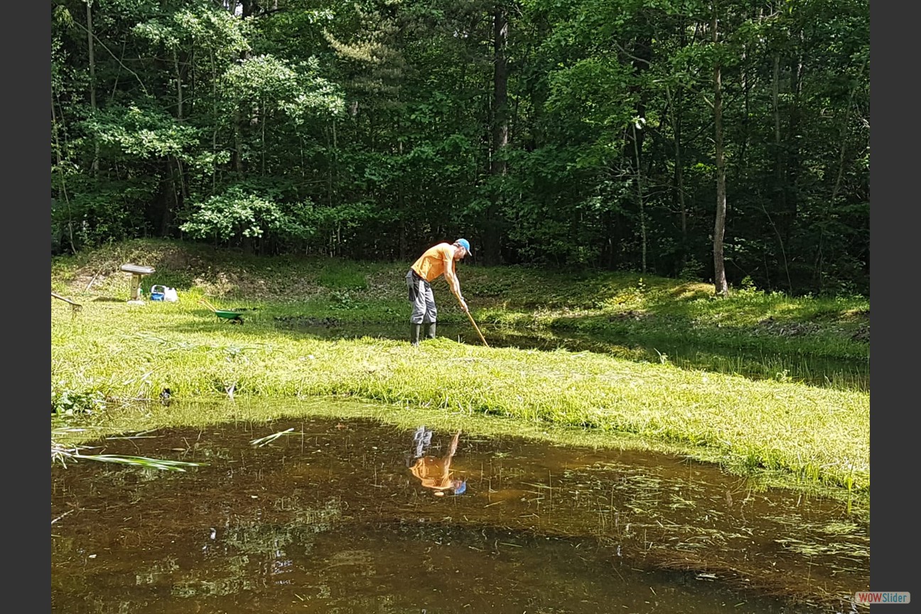 2018-05-19 Biotop (05)