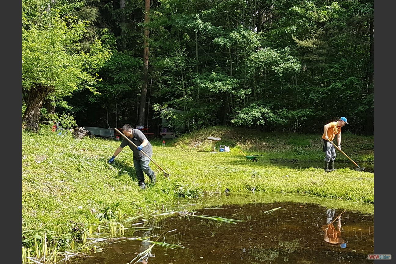 2018-05-19 Biotop (06)