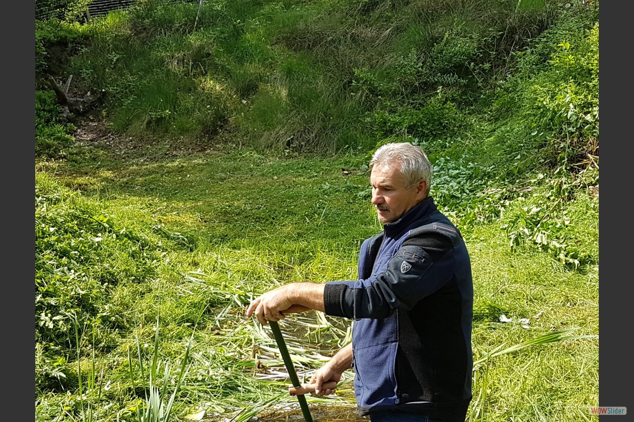 2018-05-19 Biotop (07)