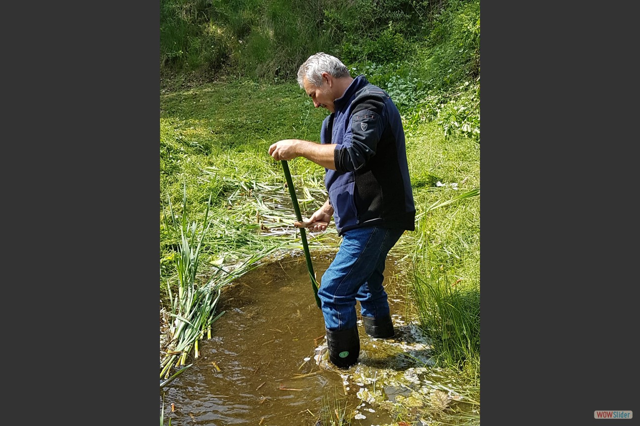 2018-05-19 Biotop (08)