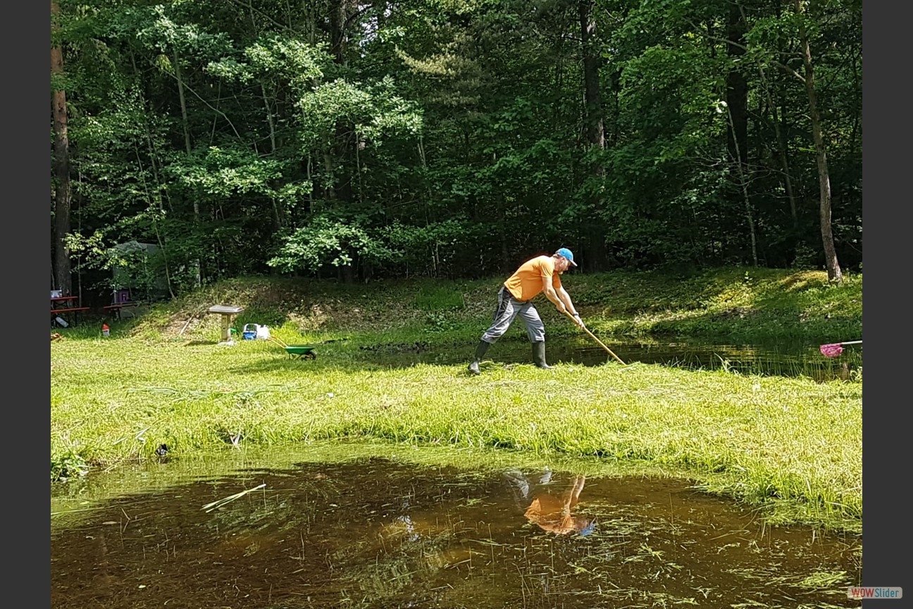 2018-05-19 Biotop (09)