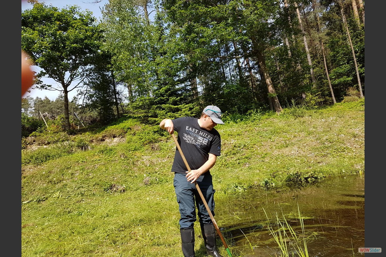 2018-05-19 Biotop (10)