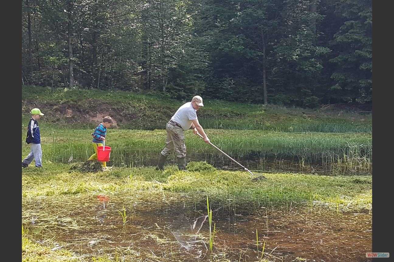 2018-05-19 Biotop (12)