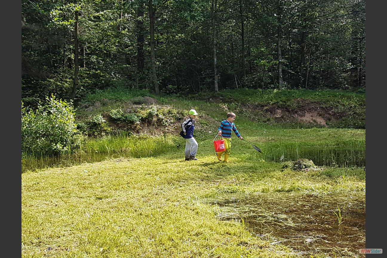 2018-05-19 Biotop (13)