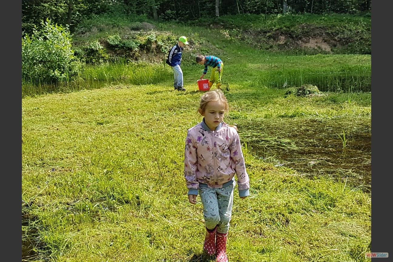 2018-05-19 Biotop (14)