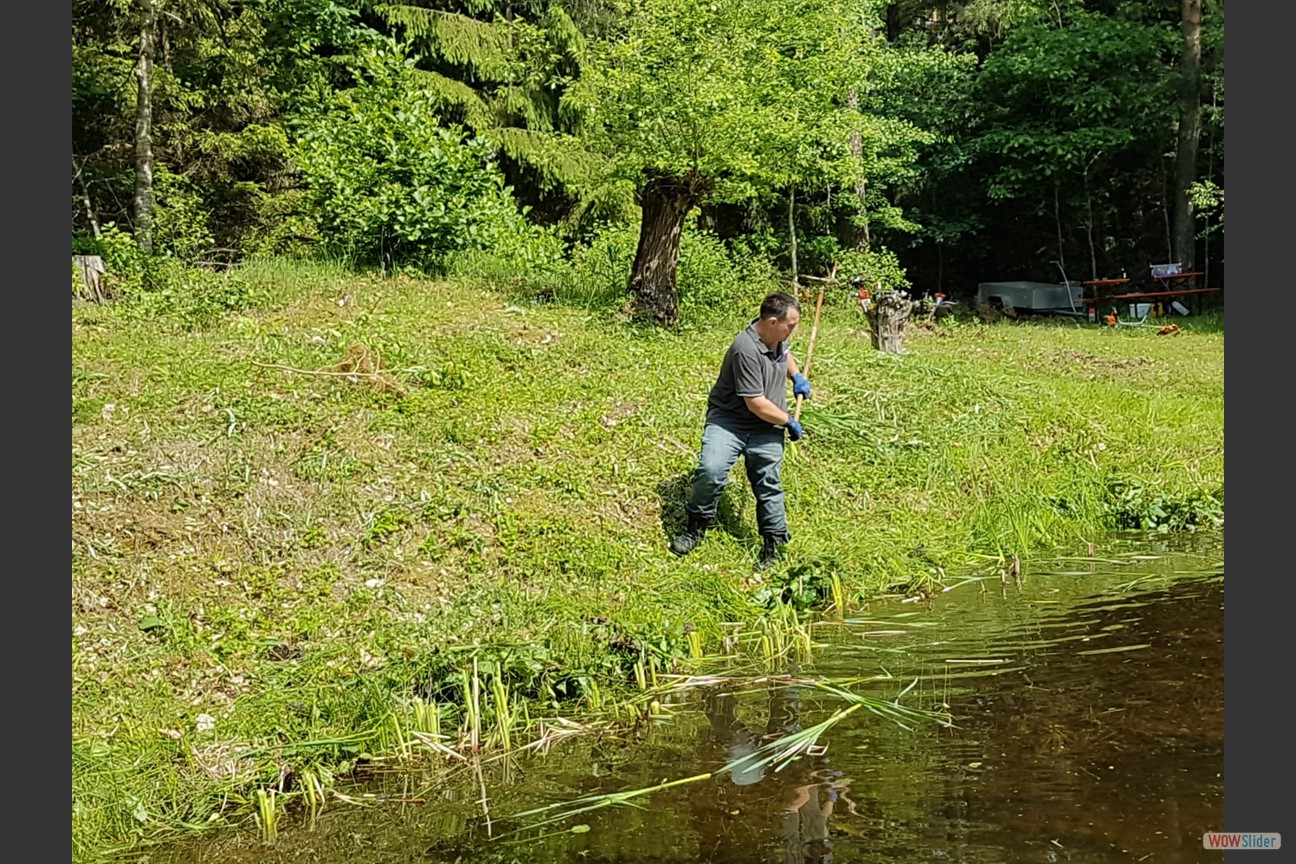 2018-05-19 Biotop (15)