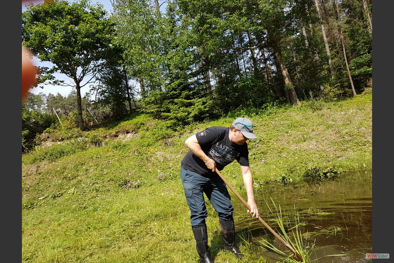 2018-05-19 Biotop (16)