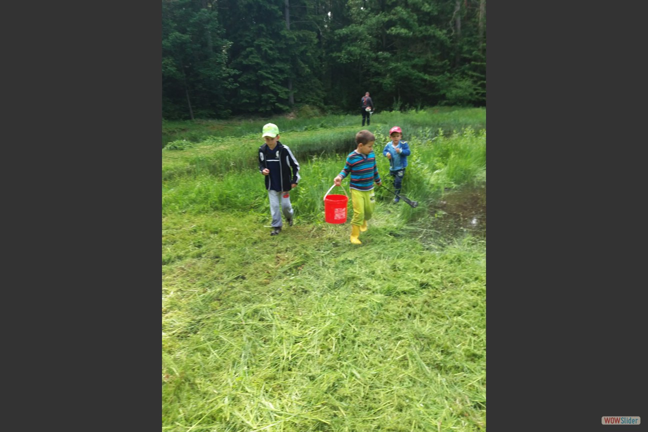 2018-05-19 Biotop (31)