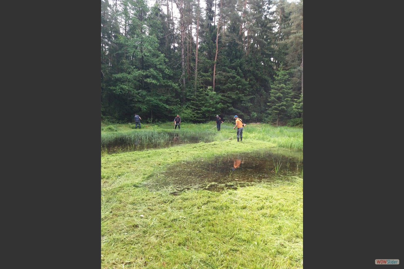 2018-05-19 Biotop (33)