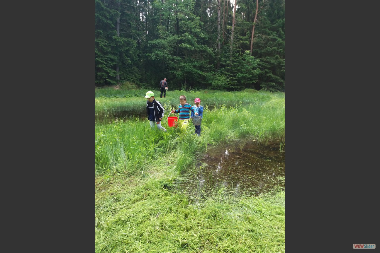 2018-05-19 Biotop (34)