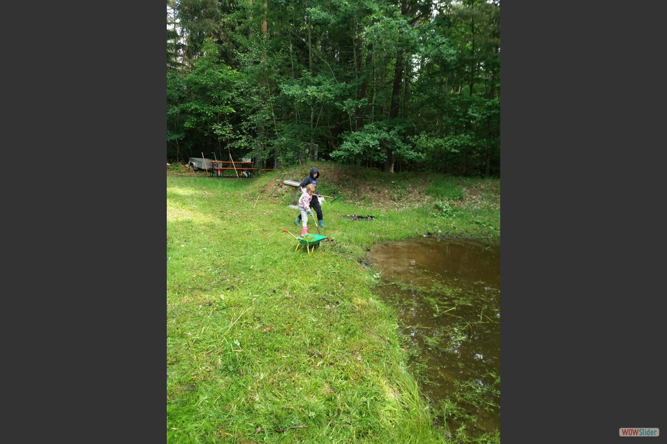 2018-05-19 Biotop (35)