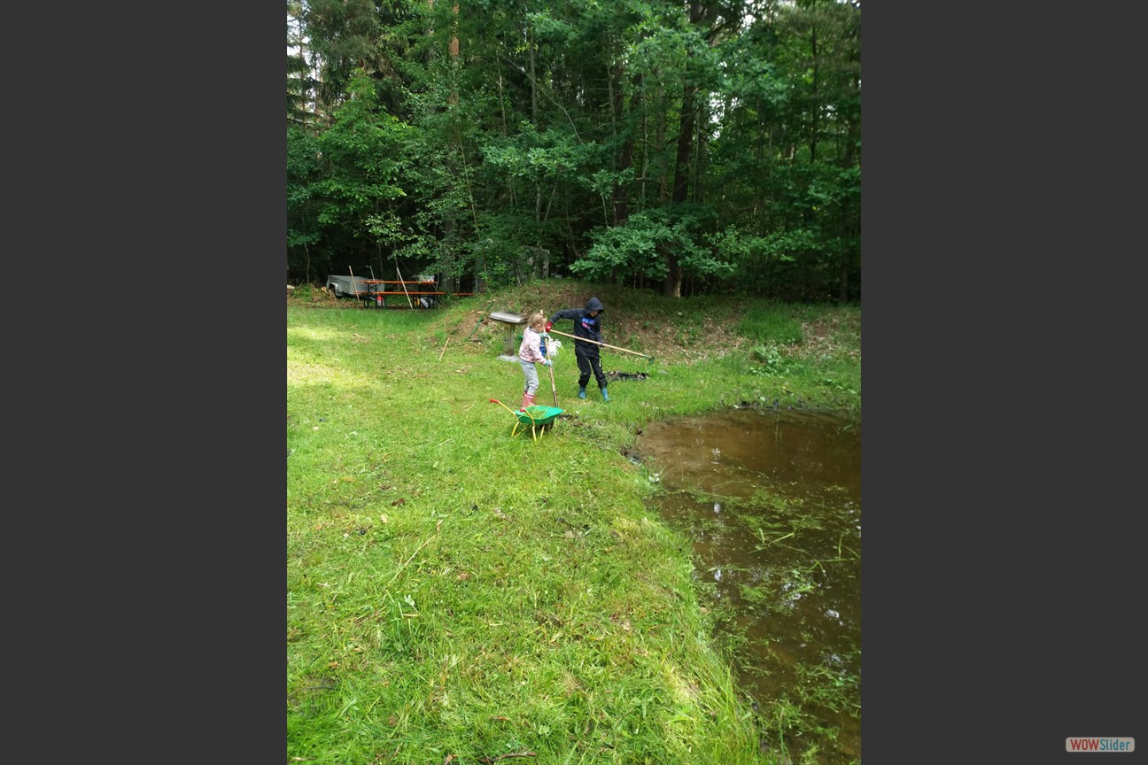 2018-05-19 Biotop (36)