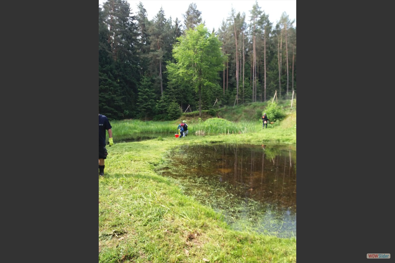 2018-05-19 Biotop (39)