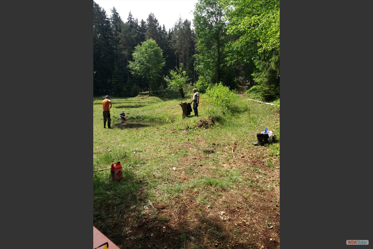 2018-05-19 Biotop (42)